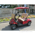 2 seater mini golf cart